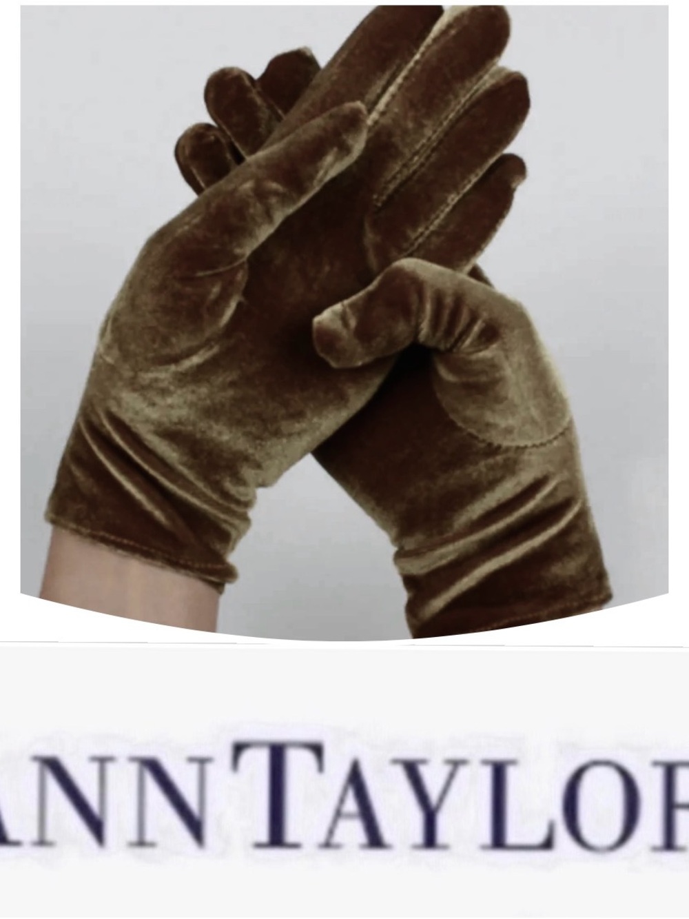 Ann Taylor Brown Velvet Gloves